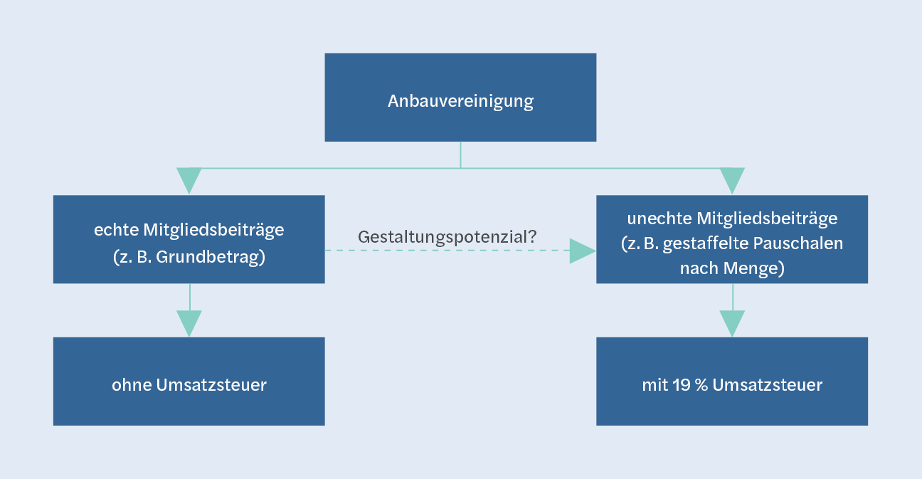 Grafik - Umsatzsteuer bei Anbauvereinigung