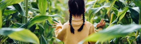 Girl walking through plants