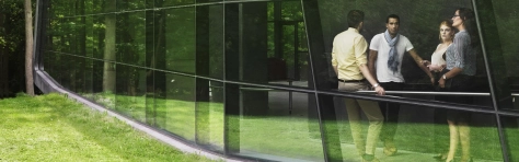 Four young professionals, two women and two men are taking a break from work and socializing. They are inside a building with glass windows. Trees can be seen in the reflection of the window the photo is taken through.