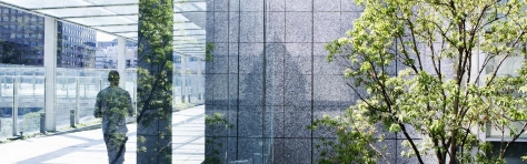 Silhouettes of a green tree and a business man walking on a passage -building - reflexion - mirror - city- Finance - Banking