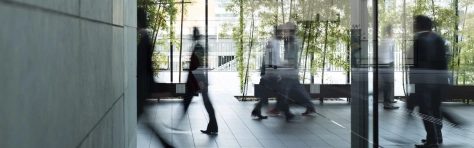 Lots of business professionals walking in a modern office building. Sunny day in city centre with trees in the background.