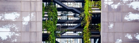 building with stairs and greenery