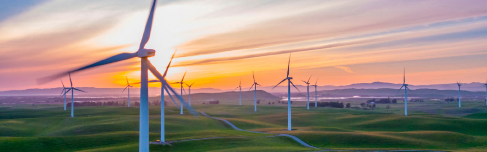 f8cb4cac4e87-Wind-turbines-in-field-at-a-loss.jpg