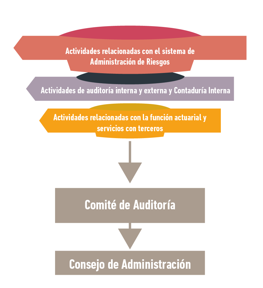 Comité de Auditoría