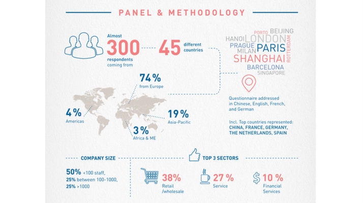 Infographic E-commerce Study 2017