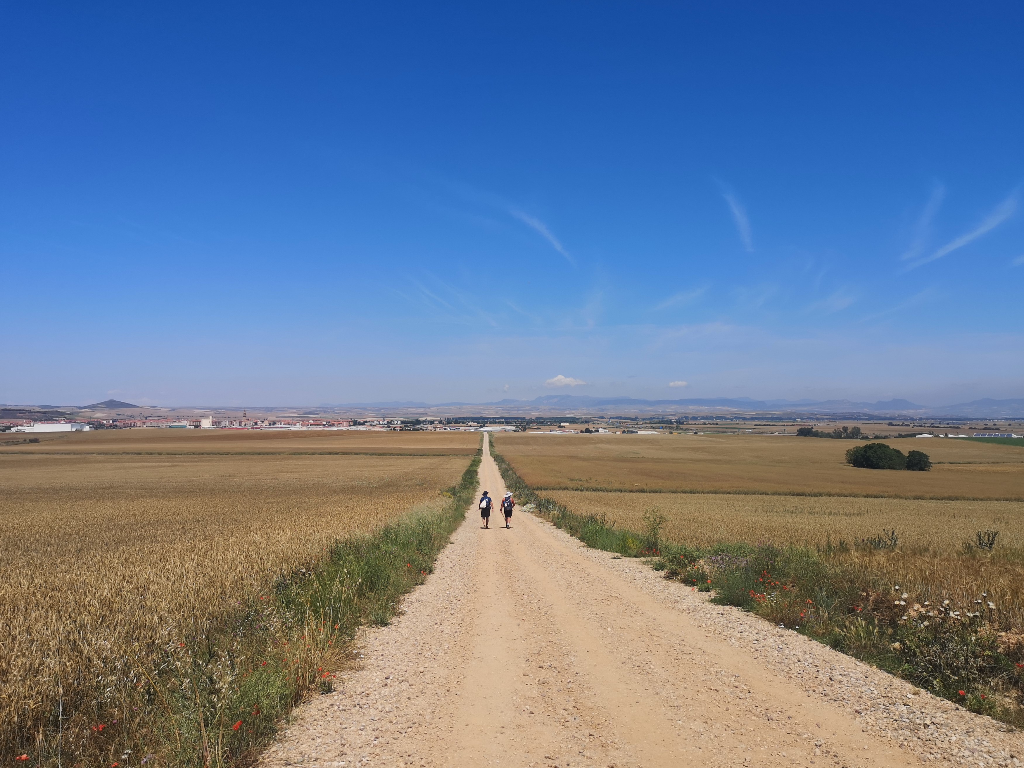 Camino de Santiago